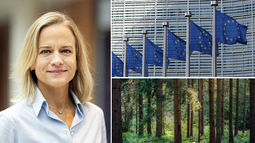 Eva Glückman, vd på Grafiska Företagen.