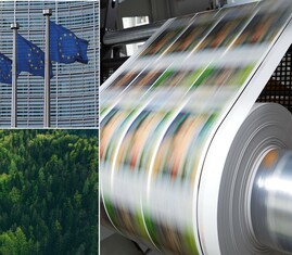EU:s avskogningsförordning