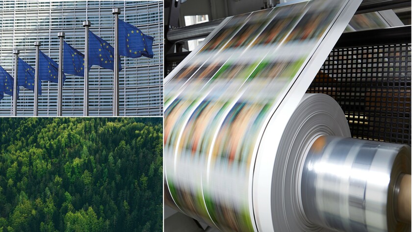 EU:s avskogningsförordning